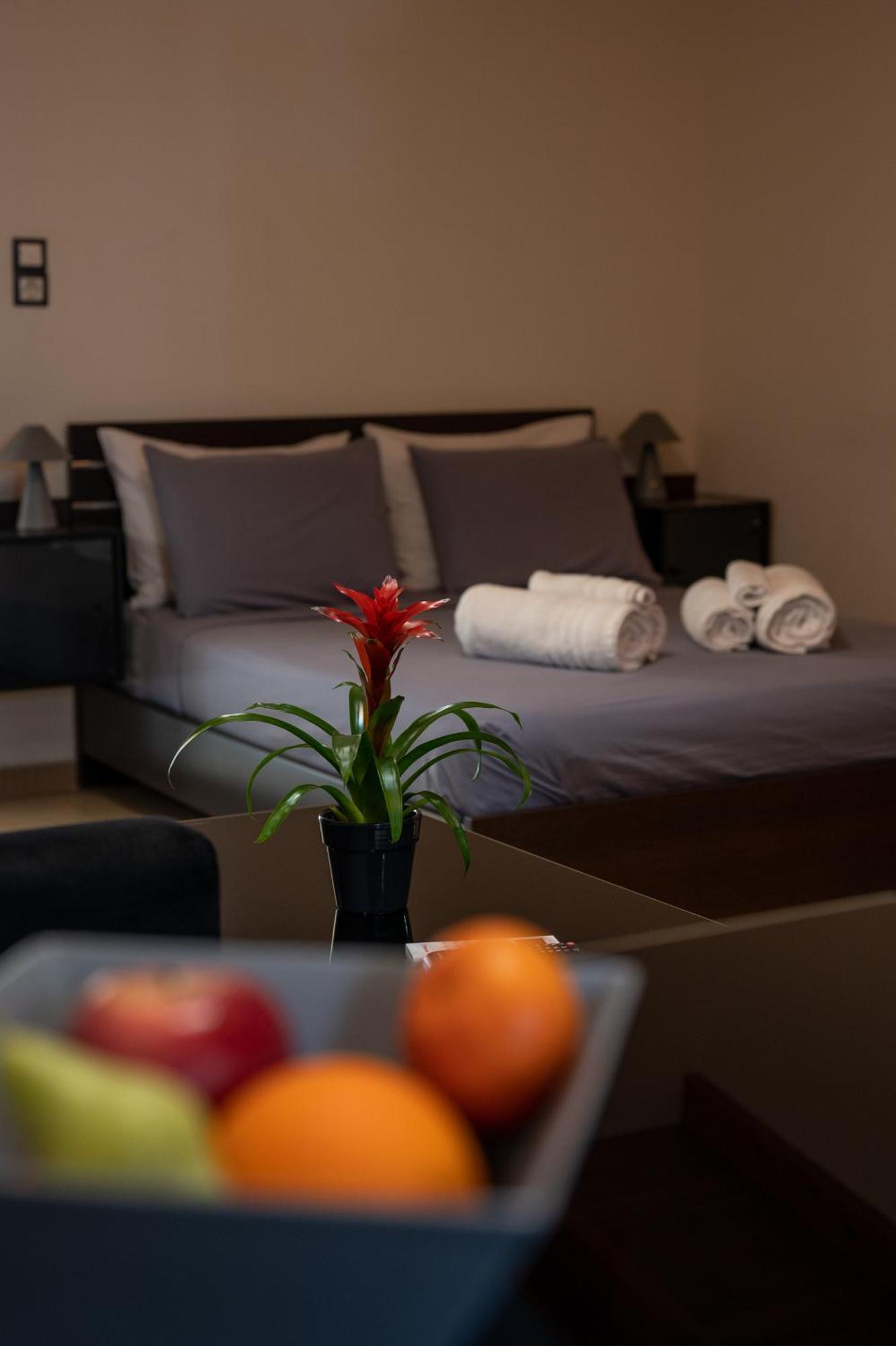 Filotimo Roofgarden Brown Appartement